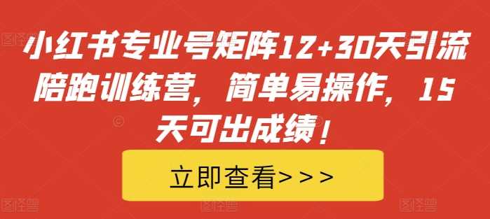 小红书专业号矩阵12+30天引流陪跑训练营，简单易操作，15天可出成绩!-创客网