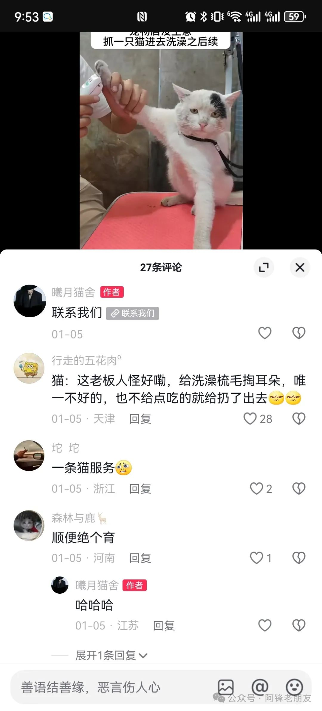 揭秘小猫咪活体抖音打粉项目，高客单价，每单利润 5000+ 认真坚持落地实操 轻松月入过万（篇一）-创客网