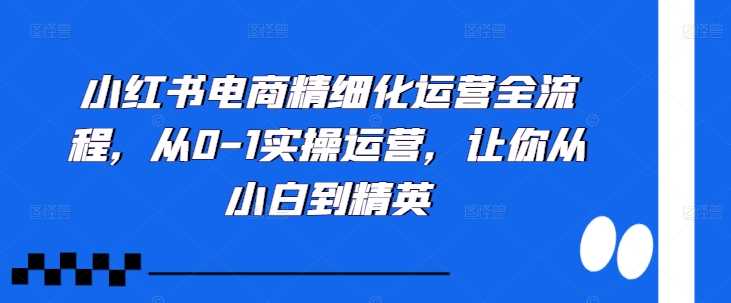 小红书电商精细化运营全流程，从0-1实操运营，让你从小白到精英-创客网