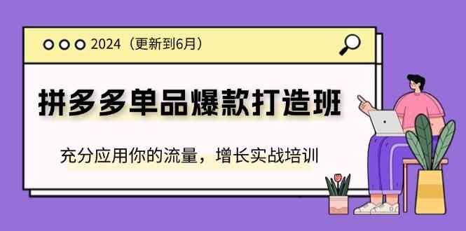 2024拼多多单品爆款打造班，充分应用你的流量，增长实战培训(更新6月)-创客网