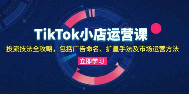 TikTok小店运营课：投流技法全攻略，包括广告命名 扩量手法及市场运营方法-创客网