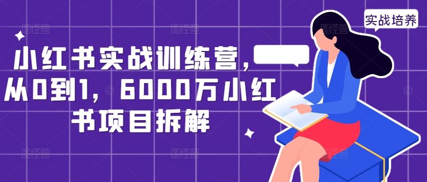 小红书实战训练营，从0到1，6000万小红书项目拆解-创客网