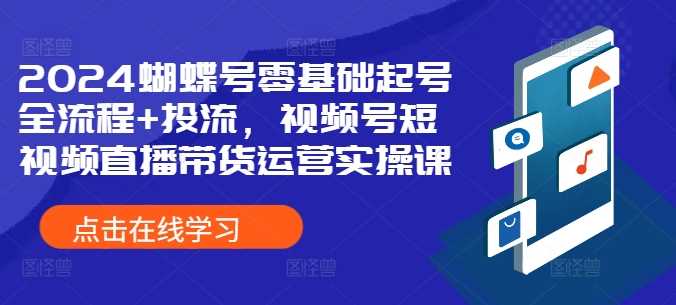 2024蝴蝶号零基础起号全流程+投流，视频号短视频直播带货运营实操课-创客网