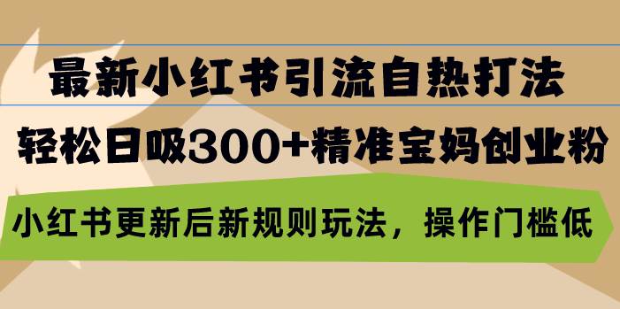 最新小红书引流自热打法，轻松日吸300+精准宝妈创业粉，小红书更新后新…-创客网