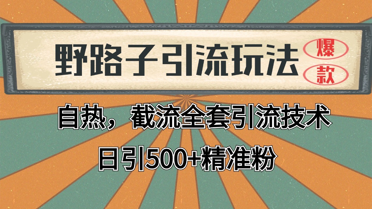 抖音小红书视频号全平台引流打法，全自动引流日引2000+精准客户-创客网