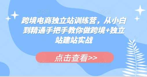 跨境电商独立站训练营，从小白到精通手把手教你做跨境+独立站建站实战-创客网