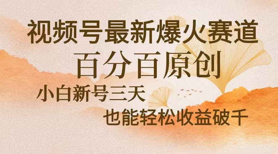 视频号最新爆火赛道，中老年粉深信不疑，百分百原创，新号三天收益轻松…-创客网