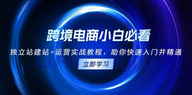 跨境电商小白必看！独立站建站+运营实战教程，助你快速入门并精通-创客网