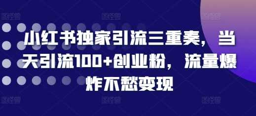 小红书独家引流三重奏，当天引流100+创业粉，流量爆炸不愁变现【揭秘】-创客网