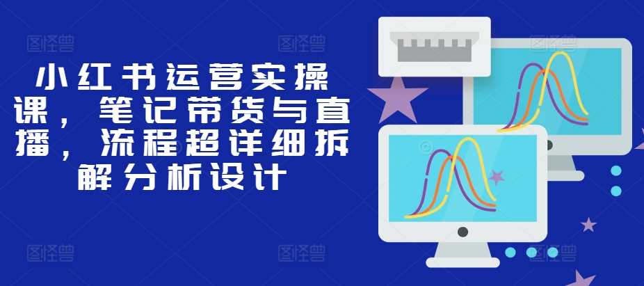 小红书运营实操课，笔记带货与直播，流程超详细拆解分析设计-创客网