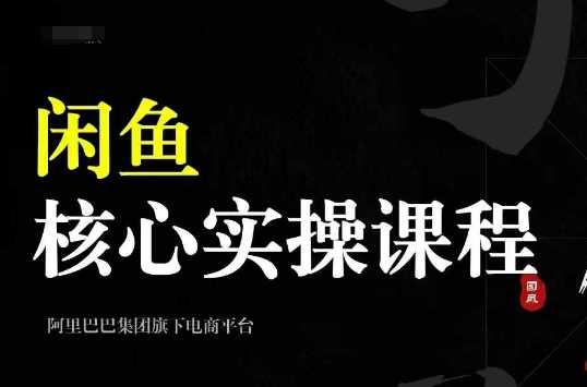 2024闲鱼核心实操课程，从养号、选品、发布、销售，教你做一个出单的闲鱼号-创客网