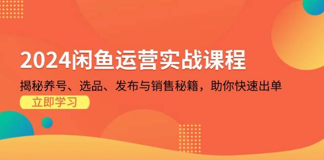 2024闲鱼运营实战课程：揭秘养号、选品、发布与销售秘籍，助你快速出单-创客网