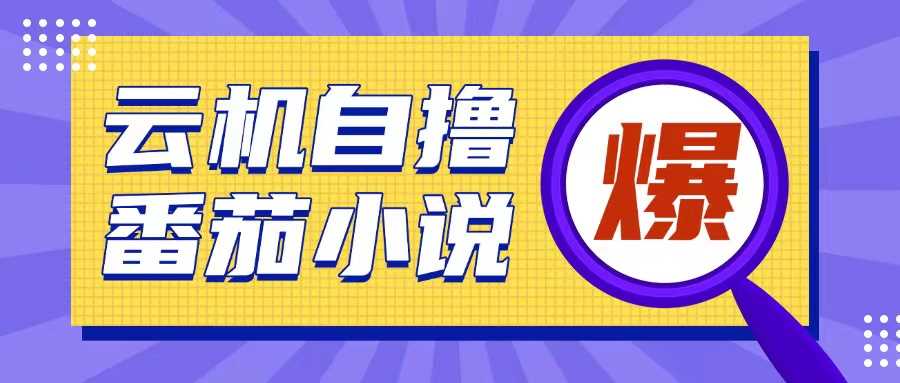 首发云手机自撸小说玩法，10块钱成本可撸200+收益操作简单【揭秘】-创客网