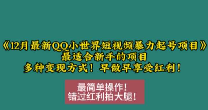 12月最新QQ小世界短视频暴力起号项目，最适合新手的项目，多种变现方式-创客网