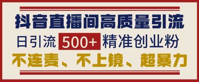 抖音直播间引流创业粉，无需连麦、不用上镜、超暴力，日引流500+高质量精准创业粉-创客网