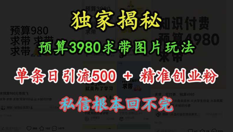 预算3980求带 图片玩法，单条日引流500+精准创业粉，私信根本回不完-创客网