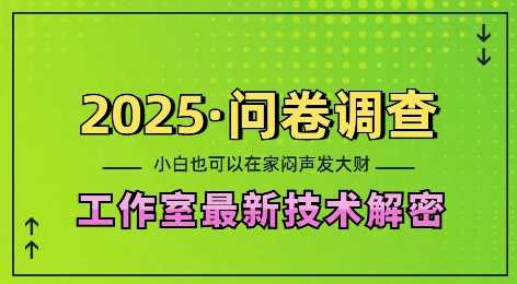 2025问卷调查最新工作室技术解密：一个人在家也可以闷声发大财，小白一天2张，可矩阵放大【揭秘】-创客网