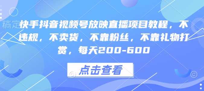 快手抖音视频号放映直播项目教程，不违规，不卖货，不靠粉丝，不靠礼物打赏，每天200-600-创客网