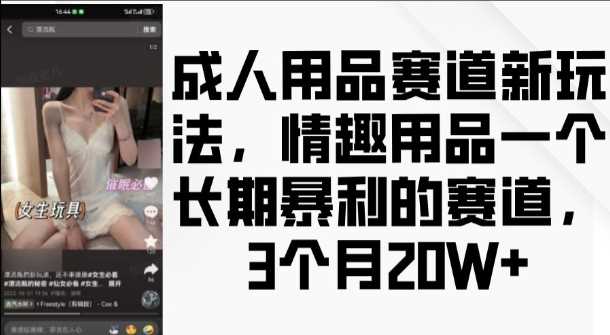 成人用品赛道新玩法，情趣用品一个长期暴利的赛道，3个月收益20个【揭秘】-创客网