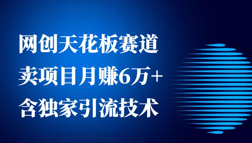 网创天花板赛道，卖项目月赚6万+，含独家引流技术（共26节课）-创客网