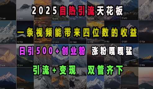 2025自热引流天花板，一条视频能带来四位数的收益，引流+变现双管齐下，日引500+创业粉，涨粉嘎嘎猛-创客网