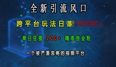 全新引流风口，跨平台玩法日入上k，单日狂揽200+精准创业粉，一个被严重忽略的视频平台-创客网