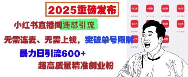 2025重磅发布：小红书直播间连怼引流，无需连麦、无需上镜，突破单号限制，暴力日引流600+-创客网