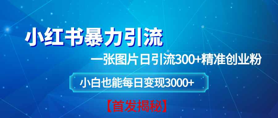 小红书暴力引流法，一张图片日引 300+精准创业粉，每日稳定变现 3000+【揭秘】-创客网