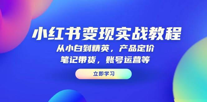 小红书变现实战教程：从小白到精英，产品定价，笔记带货，账号运营等-创客网