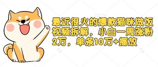 最近很火的爆款猫咪做饭视频拆解，小白一周涨粉2万，单条10万+播放(附保姆级教程)-创客网