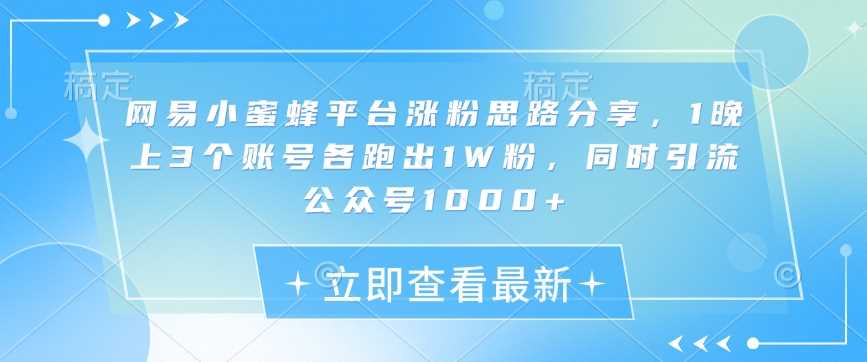 网易小蜜蜂平台涨粉思路分享，1晚上3个账号各跑出1W粉，同时引流公众号1000+-创客网