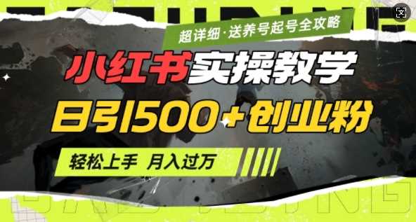 2月小红书最新日引500+创业粉实操教学【超详细】小白轻松上手，月入1W+，附小红书养号起号SOP-创客网